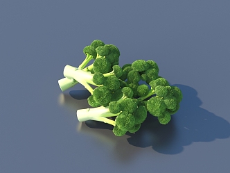 side dish vegetables coriander food 3d model