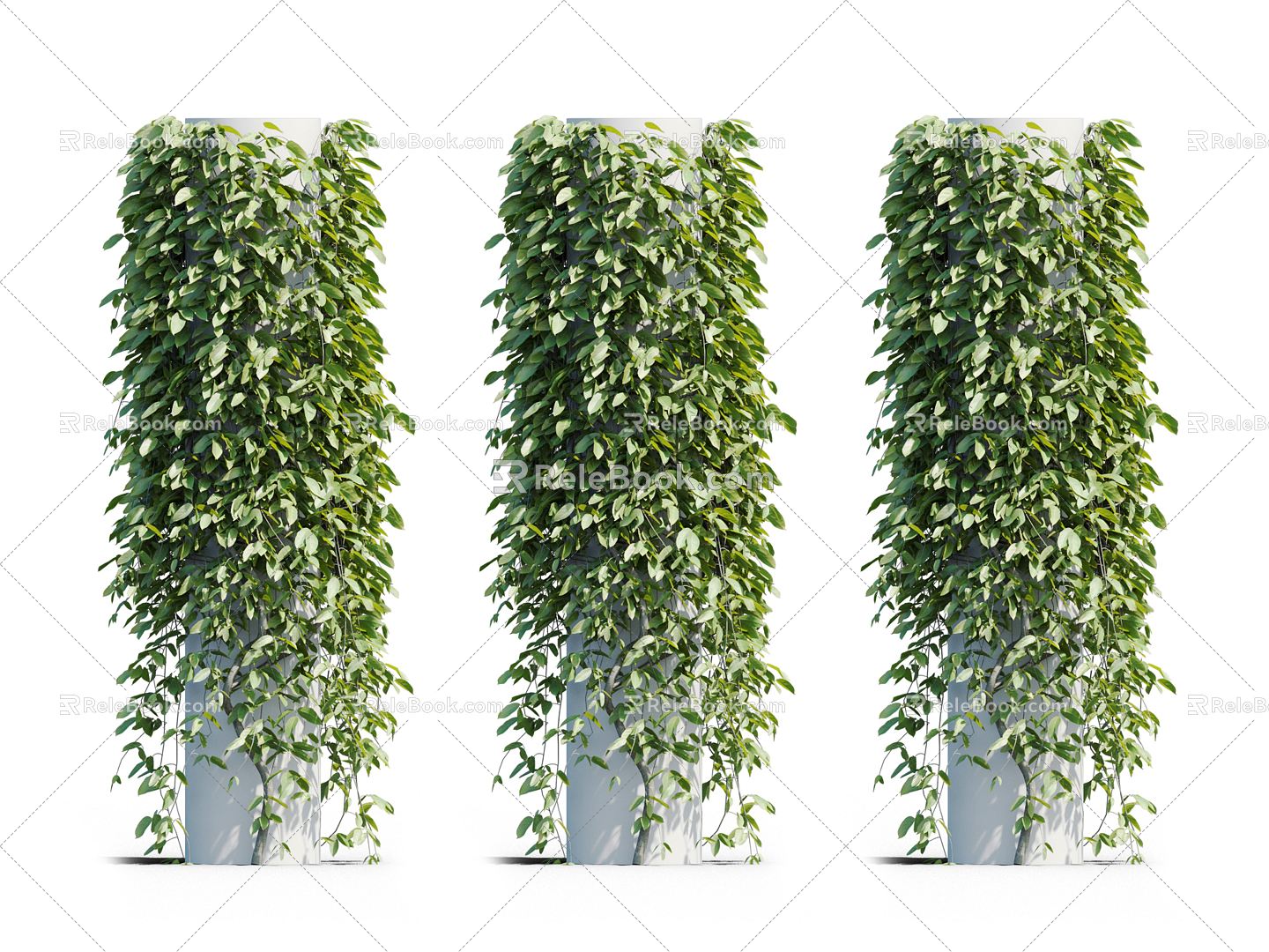 Modern Vine Vine Plant 3d model