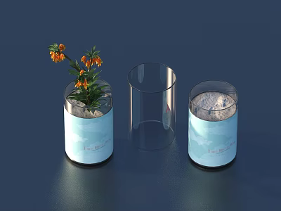 Potted Bonsai Plant With Orange Flowers In Light Blue Pot And Transparent Container 3d model