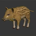 Baby Wild Boar with Brown Stripes Standing on Black Background Showing Reflection