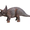 Realistic Triceratops Dinosaur Model With Three Horns Frill And Textured Skin