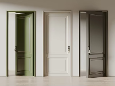 Stylish Hinged Doors in Green White Grey with Panel Design and Wooden Flooring 3d model