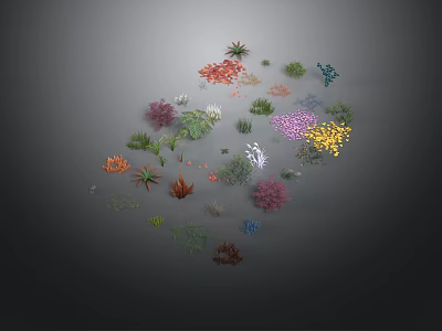Colorful Garden Plants With Various Greenery And Flower Species In Arrangement 3d model