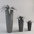Bonsai Potted Plants with Three Different Sizes Gray Textured Pots and Green Long Leaves