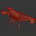 Detailed Orange Brown Crayfish with Claws and Segmented Body on Dark Background