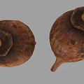 Two Round Brown Spotted Bulbs With Top Caps Against Gray Background 3d model
