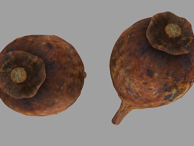Two Round Brown Spotted Bulbs With Top Caps Against Gray Background 3d model