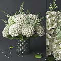 White Hydrangea Flowers In Glass Vase With Polka Dots And Green Leaves
