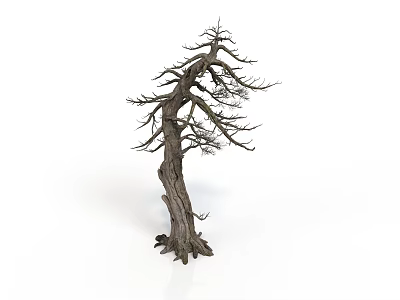 Dead Tree With Thick Trunk And Dry Branches And No Leaves Isolated On White Background 3d model