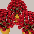 Vibrant Red Rose Bouquets Arranged in Yellow Vases for Home Decor