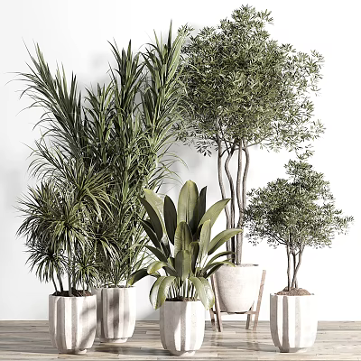Various Types of Tall and Short Green Potted Plants in White Pots on White Background 3d model