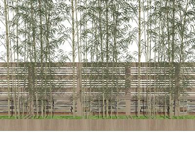 Tall Green Bamboo Plants Growing In Front Of Wooden Slatted Fence Background 3d model