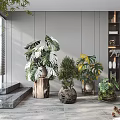 Potted Green Plants With Large Leaves In Wooden Stump And Woven Pots Modern Indoor Space