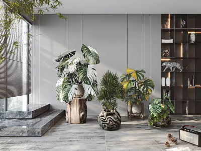 Potted Green Plants With Large Leaves In Wooden Stump And Woven Pots Modern Indoor Space 3d model