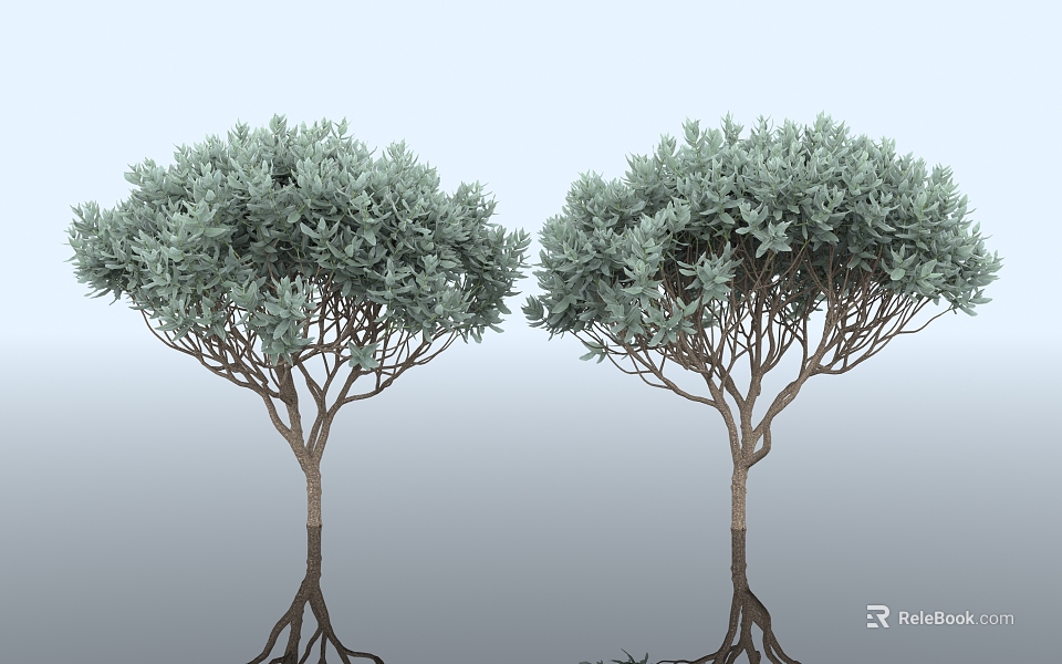 Two Trees with Green Leaves Slender Trunks Against Gradient Blue Gray Background and Ground Reflections 3d model 