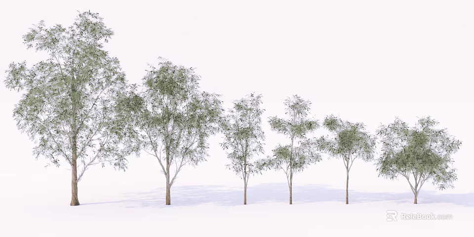 Row of Tall Arbor Trees with Green Foliage and Brown Trunks on White 3d model 