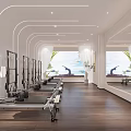 Modern Fitness Studio Interior With Neatly Arranged Pilates Reformer Equipment Large Windows And Wooden Floors