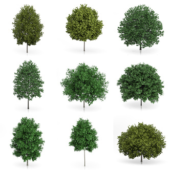 The Modern Tree 3d model