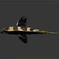 Yellow And Black Striped Fish With Yellow Fins And Blue Eyes On Dark Background