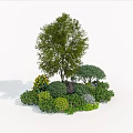 Varied Green Shrubs in Garden Landscaping with Tall Tree Yellow Flowers and Stone