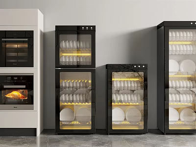 Modern Kitchen Appliances Featuring Oven And Glass Door Dish Sterilizers With Dishes 3d model