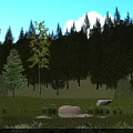 Lush Garden Landscape With Green Grass Large Rocks And Tall Trees Under Blue Sky