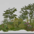 Lush diverse flowers and plants with green trees and pink white blooms in garden landscape