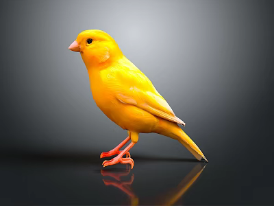 Yellow Bird Standing On Black Surface With Reflection In Studio Lighting 3d model