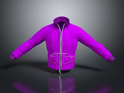 Stylish Purple Jacket with Zipper Closure Stand Collar and Front Pockets Design 3d model