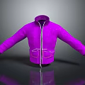 Stylish Purple Jacket with Zipper Closure Stand Collar and Front Pockets Design