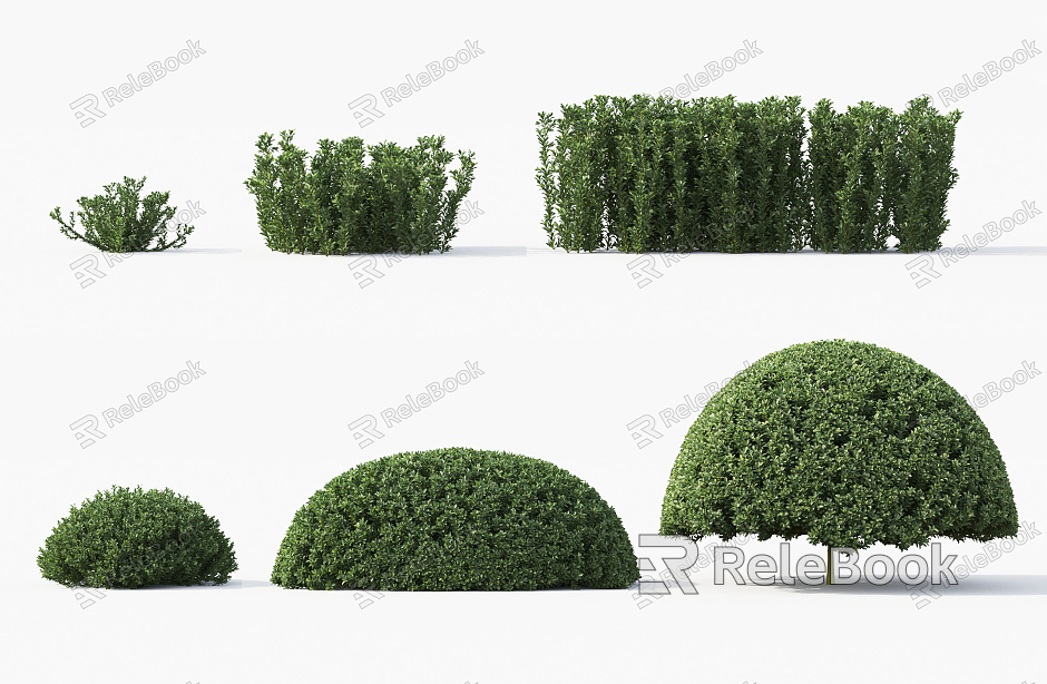 Modern shrubs model