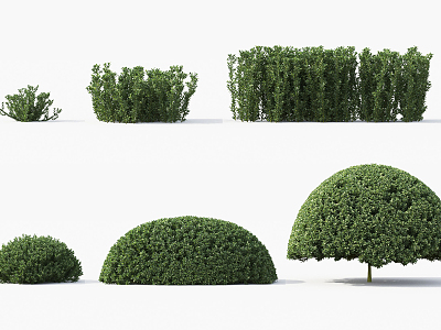 Modern shrubs model