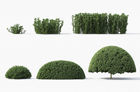 Modern shrubs 3d model