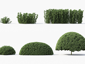 Modern shrubs 3d model