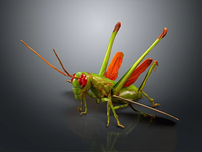 Green Grasshopper With Red Eyes Long Antennae And Red Wings On Dark Background 3d model
