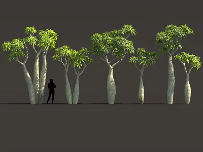 3D Tree Modeling Equipment With White Trunk Green Canopy And Silhouette Figure 3d model