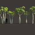 3D Tree Modeling Equipment With White Trunk Green Canopy And Silhouette Figure