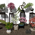 Various Colored Bonsai Trees With Curved Branches On Wooden Stands And Decorative Accents
