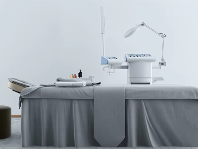 Professional Spa Massage Bed with Adjustable Features and Essential Oils Setup 3d model