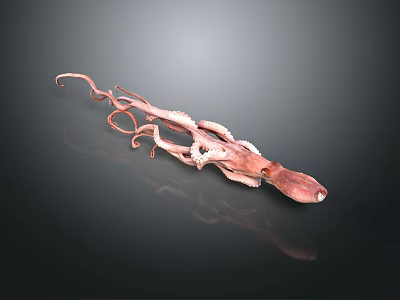 Vibrant Pink Octopus With Long Tentacles On Black Reflective Surface 3d model