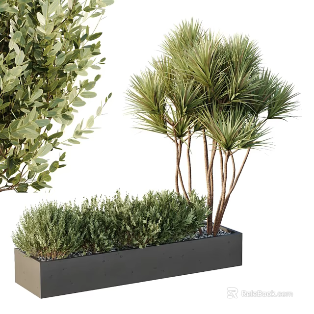 Potted Bonsai Plants With Multiple Stems And Low Growing Shrubs In Rectangular Planter 3d model