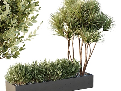 Modern Landscape Plant Heap 3d model