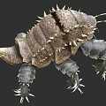 Unique Spiny Armored Creature With Thorny Exoskeleton And Multiple Legs