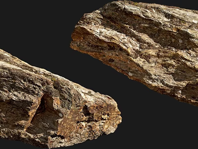 Rough Textured Natural Stone And Wood With Organic Surface Details And Natural Texture 3d model