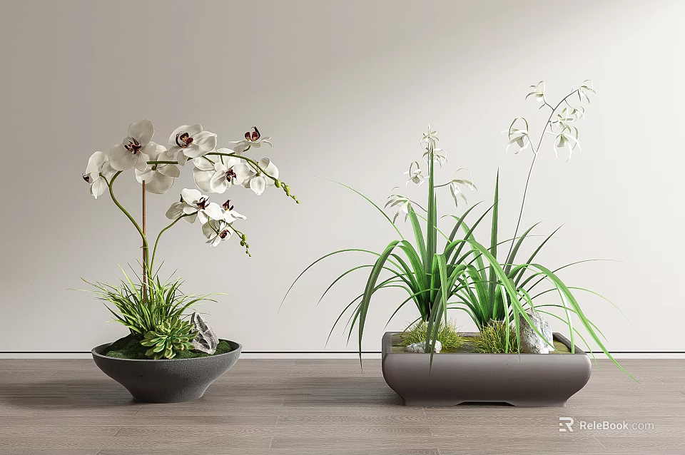 Elegant Bonsai Potted Plants With White Flowers In Gray Pots On Wooden Tabletop 3d model 