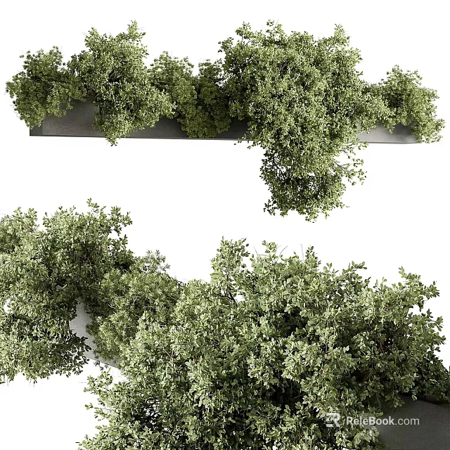 Lush Green Shrubs in Garden Landscape with Dense Foliage and Vibrant Leaves 3d model 
