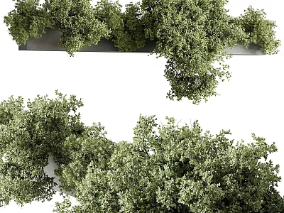 Lush Green Shrubs in Garden Landscape with Dense Foliage and Vibrant Leaves 3d model