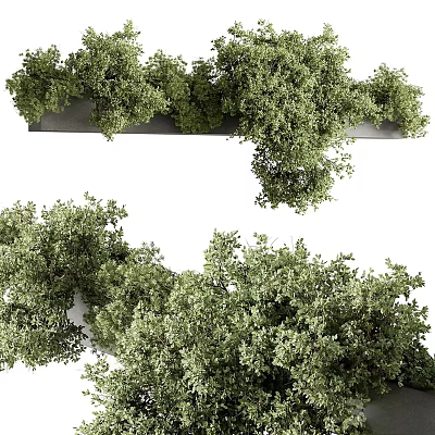 Lush Green Shrubs in Garden Landscape with Dense Foliage and Vibrant Leaves 3d model