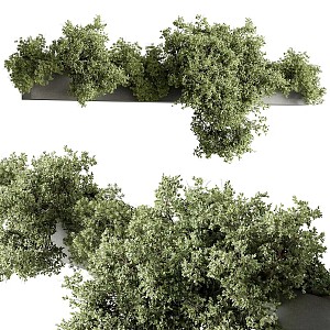 Outdoor plants 3d model