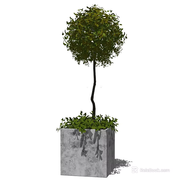 Bonsai Potted Plant With Curved Trunk Round Green Canopy In Square Gray Pot 3d model 